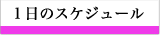 一日のスケジュール